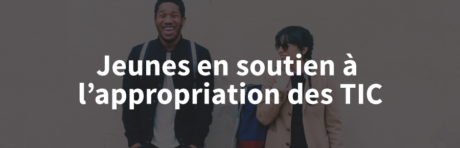 Appropriation des TIC